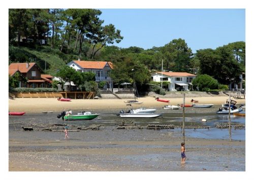 Carte postale Marée basse au Bassin d´Arcachon