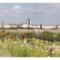 Carte postale Bordeaux Les Quais Printaniers