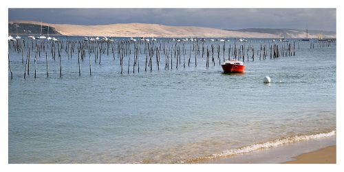 Carte postale panoramique vue du Bassin d´Arcachon et de la Dune de Pyla par Cap Ferret