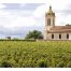 Carte postale panoramique des vignaobles et église dans le Bordelais