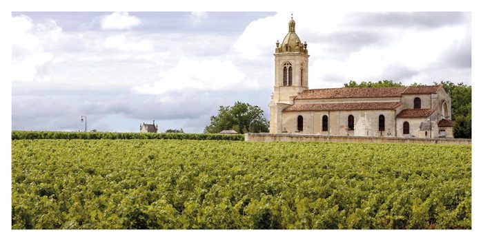 Carte postale panoramique des vignaobles et église dans le Bordelais