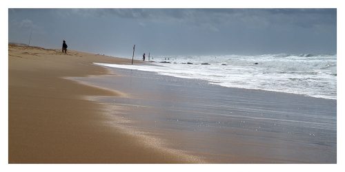 Carte postale panoramique de la mer à Cap Ferret en hiver