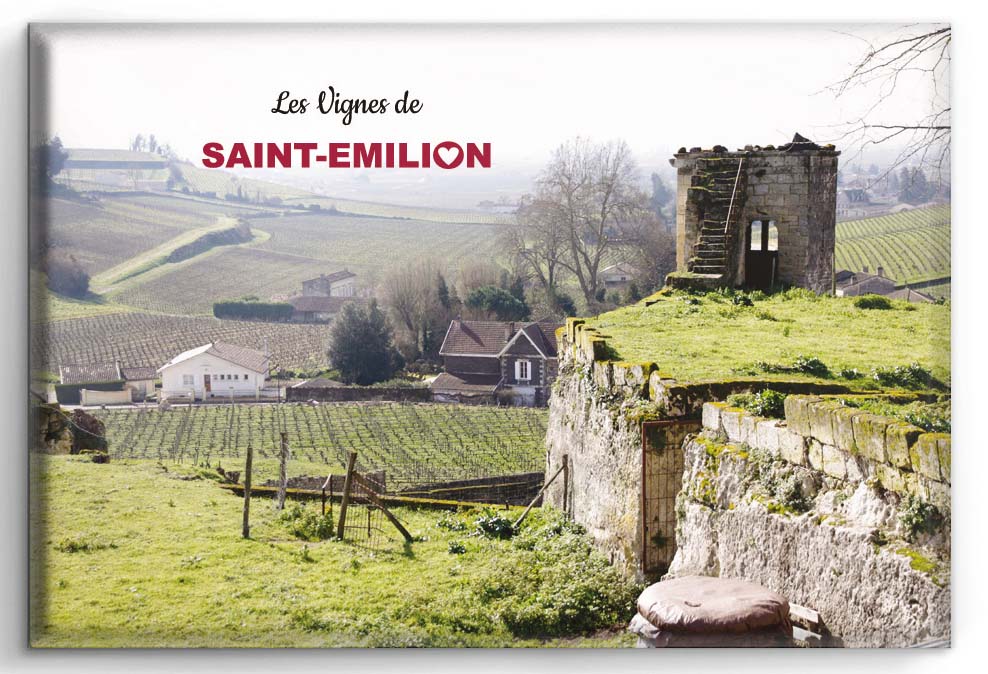 Magnet Saint-Emilion les vignes
