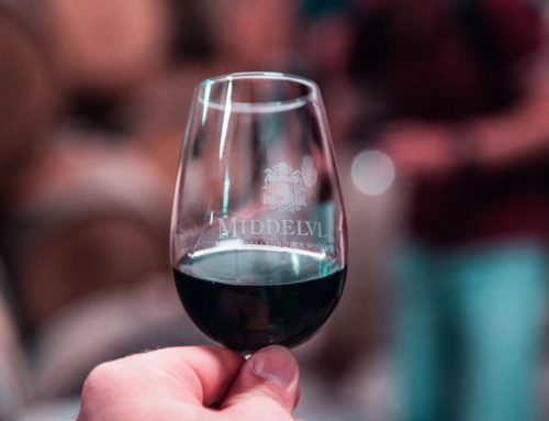 Comment organiser une dégustation de vin à domicile ?