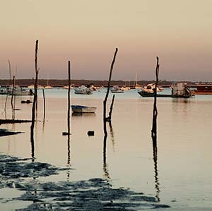 Photographies Bassin d'Arcachon