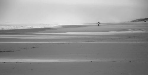 Photo noir et blanc bassin d'arcachon