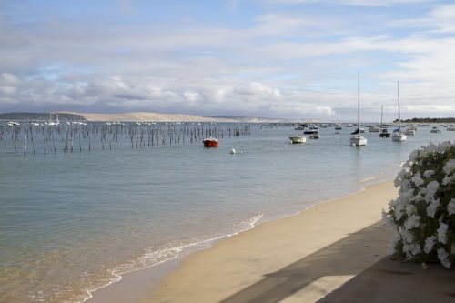 photographie bassin d'arcachon à vendre